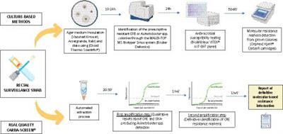 The molecular detection of carbapenem markers with a two-levels amplification screening protocol: epidemiological and resistome insights